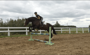 Screen Shot 2019-09-07 at 10.31.06 AM